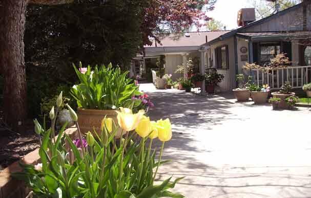 Photo of Meadow View Manor, Assisted Living, Sonora, CA 4