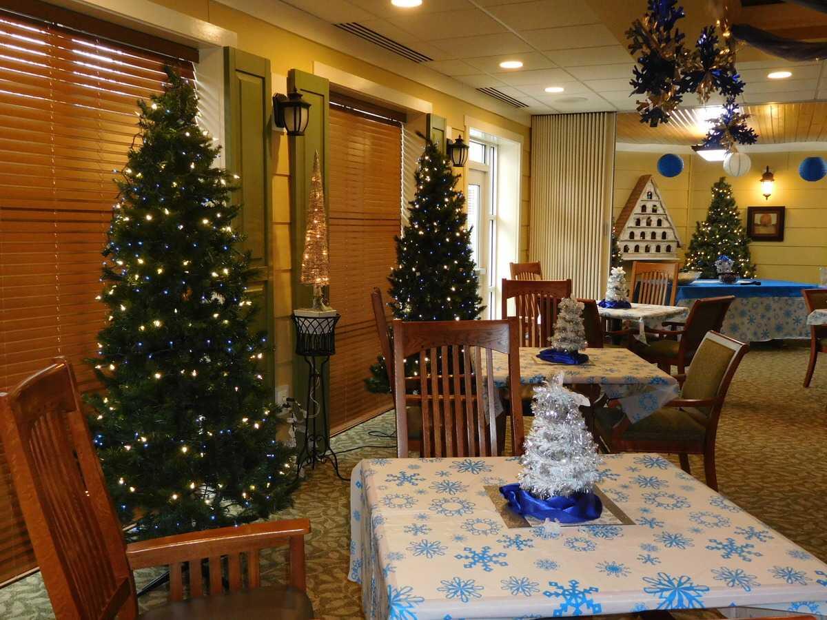 Photo of The Willows at Meadow Branch, Assisted Living, Memory Care, Winchester, VA 7