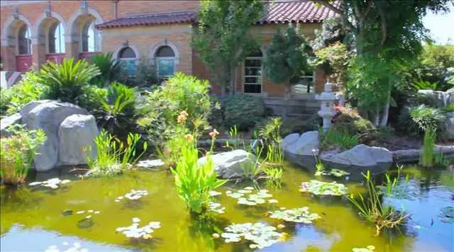 Photo of Sakura Gardens at Los Angeles, Assisted Living, Los Angeles, CA 1