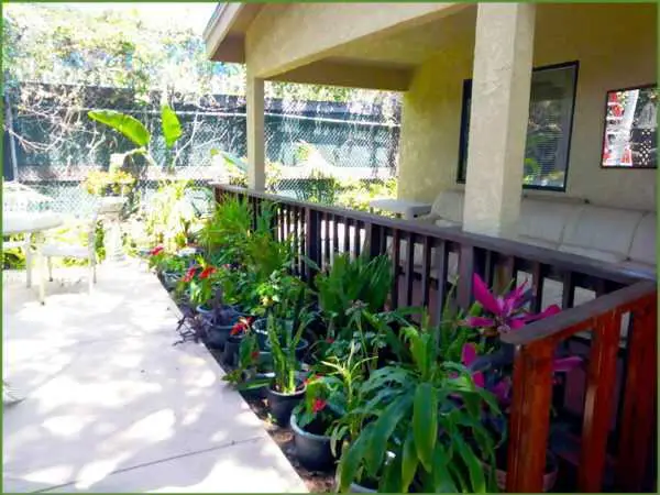 Photo of The Palisades Villa, Assisted Living, Pacific Palisades, CA 4