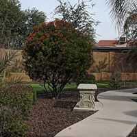Photo of Hands of Care, Assisted Living, Scottsdale, AZ 7