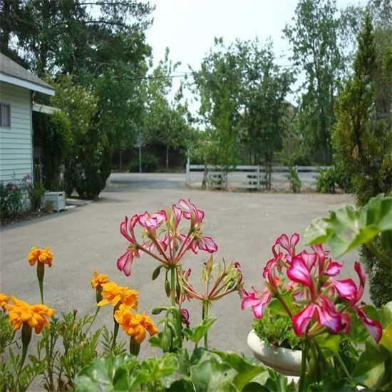 Photo of Wild Rose Living, Assisted Living, Santa Rosa, CA 9