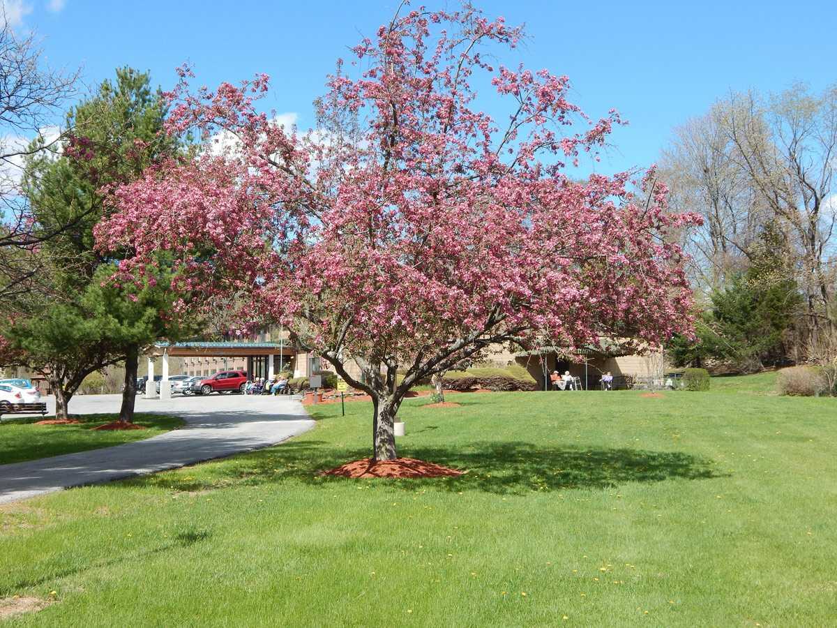 Photo of New Windsor Country Inn, Assisted Living, New Windsor, NY 5