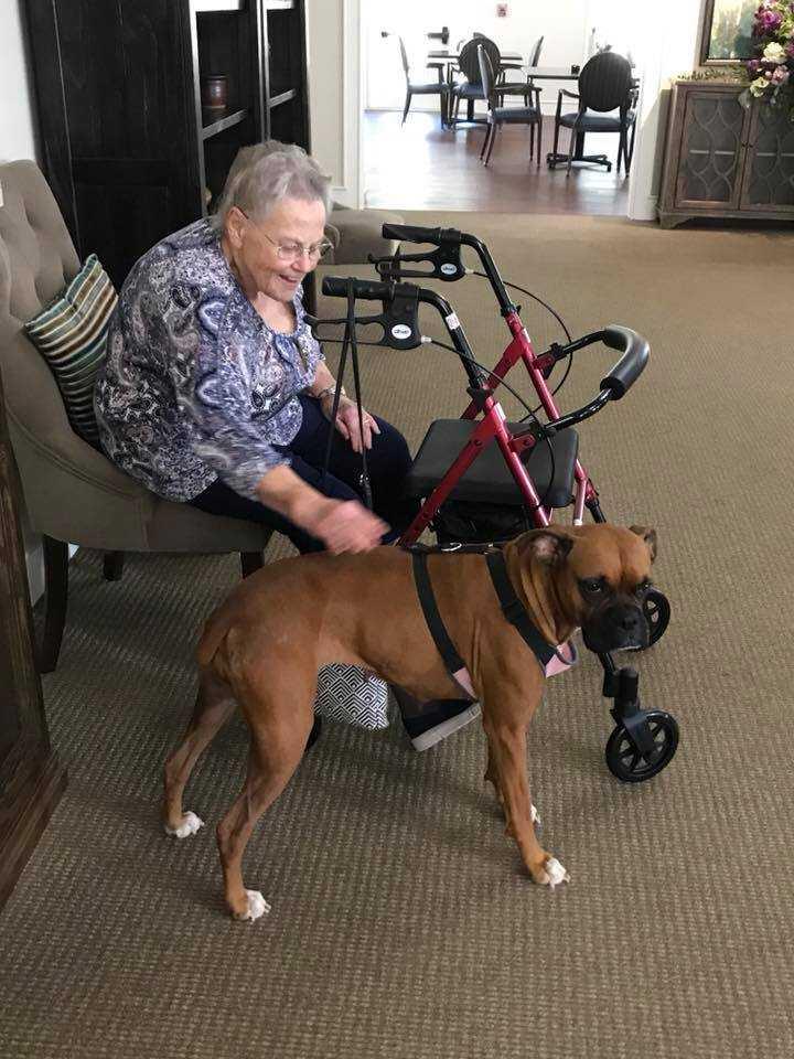 Dalton's Place at Star City Senior Living Community Assisted Living