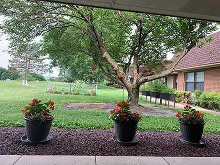 Photo of Shady Grove Nursing and Rehabilitation Center, Assisted Living, Nursing Home, Rockville, MD 1